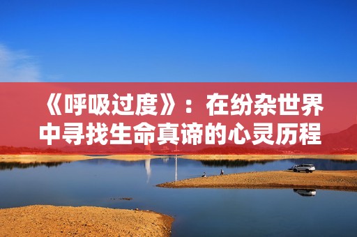 《呼吸过度》：在纷杂世界中寻找生命真谛的心灵历程