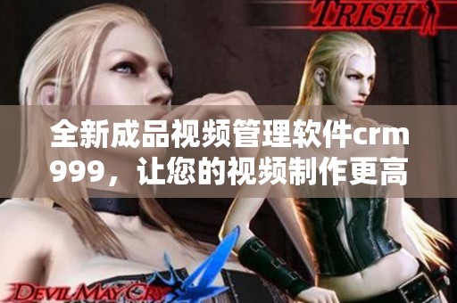 全新成品视频管理软件crm999，让您的视频制作更高效便捷