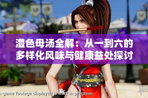 澧色母汤全解：从一到六的多样化风味与健康益处探讨