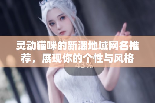 灵动猫咪的新潮地域网名推荐，展现你的个性与风格