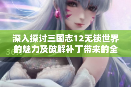 深入探讨三国志12无锁世界的魅力及破解补丁带来的全新游戏体验