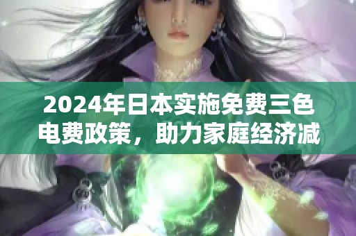 2024年日本实施免费三色电费政策，助力家庭经济减负