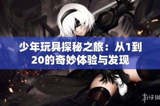 少年玩具探秘之旅：从1到20的奇妙体验与发现