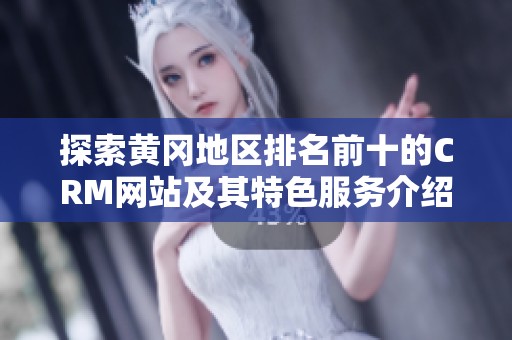 探索黄冈地区排名前十的CRM网站及其特色服务介绍