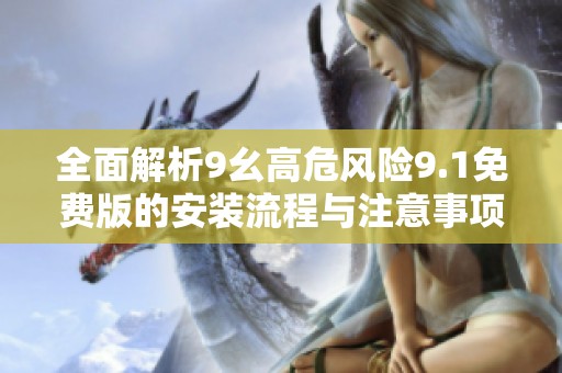 全面解析9幺高危风险9.1免费版的安装流程与注意事项