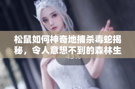 松鼠如何神奇地捕杀毒蛇揭秘，令人意想不到的森林生存技巧与智慧故事