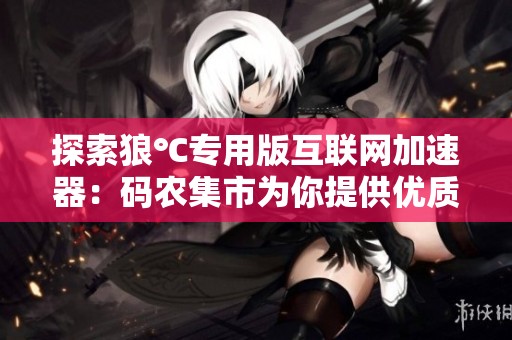 探索狼℃专用版互联网加速器：码农集市为你提供优质IT编程学习资源分享