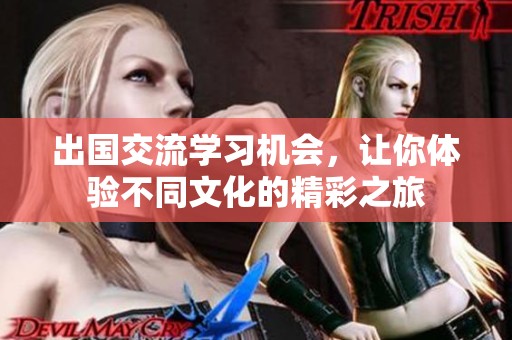 出国交流学习机会，让你体验不同文化的精彩之旅