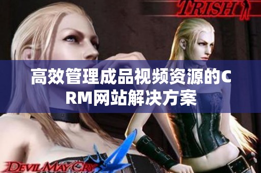 高效管理成品视频资源的CRM网站解决方案