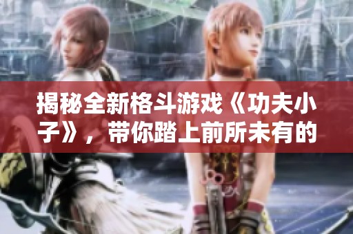 揭秘全新格斗游戏《功夫小子》，带你踏上前所未有的武术冒险之旅！