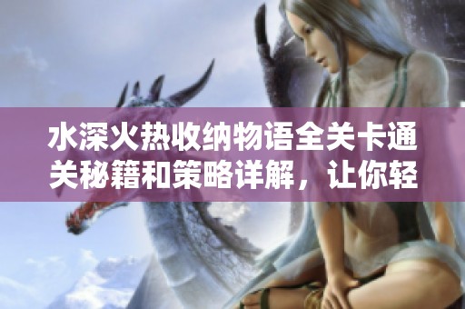 水深火热收纳物语全关卡通关秘籍和策略详解，让你轻松过关玩转游戏