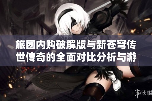 旅团内购破解版与新苍穹传世传奇的全面对比分析与游戏体验分享