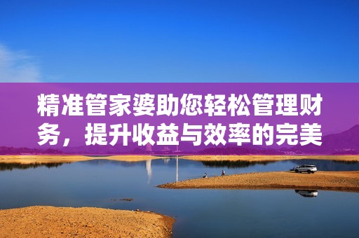 精准管家婆助您轻松管理财务，提升收益与效率的完美选择