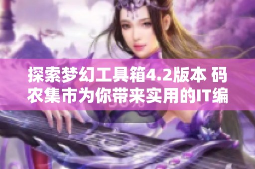 探索梦幻工具箱4.2版本 码农集市为你带来实用的IT编程学习资源分享