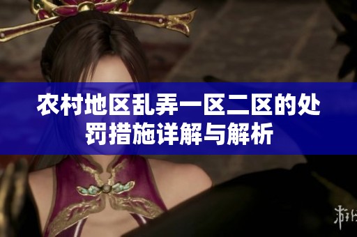 农村地区乱弄一区二区的处罚措施详解与解析