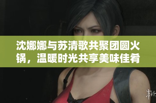 沈娜娜与苏清歌共聚团圆火锅，温暖时光共享美味佳肴