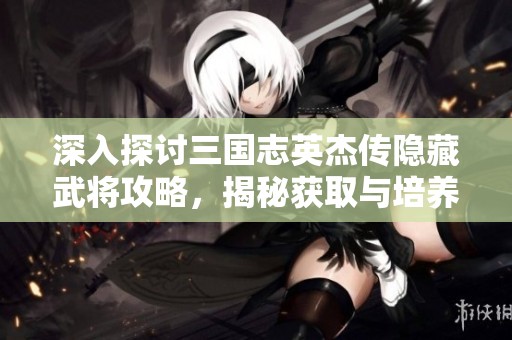 深入探讨三国志英杰传隐藏武将攻略，揭秘获取与培养的最佳方法和策略