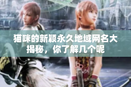 猫咪的新颖永久地域网名大揭秘，你了解几个呢