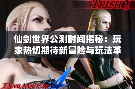 仙剑世界公测时间揭秘：玩家热切期待新冒险与玩法革新分析与总结