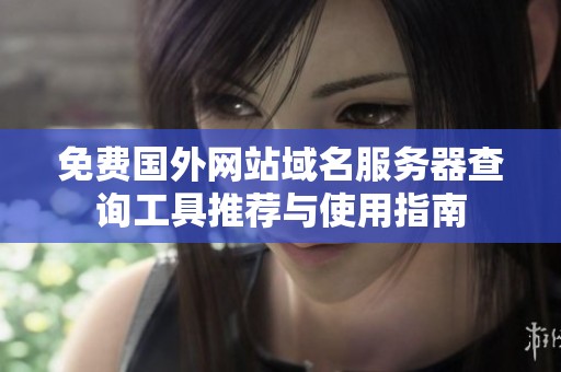 免费国外网站域名服务器查询工具推荐与使用指南