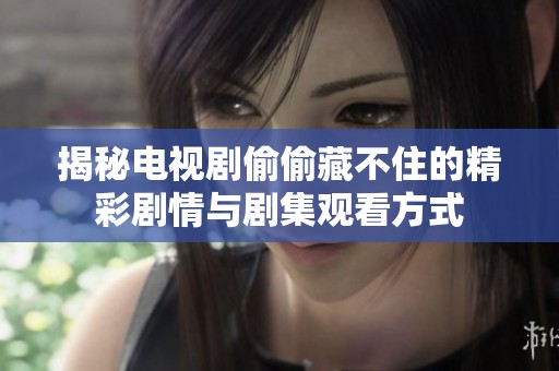 揭秘电视剧偷偷藏不住的精彩剧情与剧集观看方式