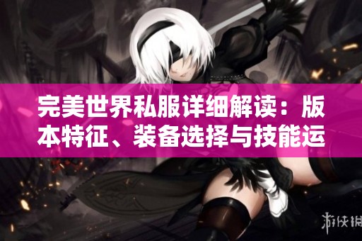 完美世界私服详细解读：版本特征、装备选择与技能运用全攻略