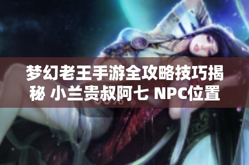 梦幻老王手游全攻略技巧揭秘 小兰贵叔阿七 NPC位置详解与玩法指南