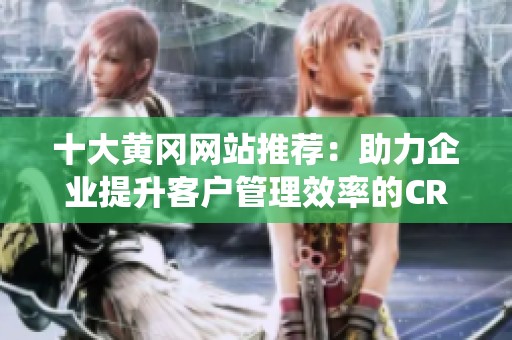 十大黄冈网站推荐：助力企业提升客户管理效率的CR系统解析