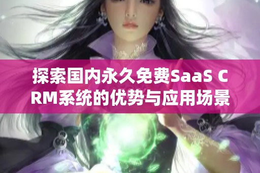 探索国内永久免费SaaS CRM系统的优势与应用场景