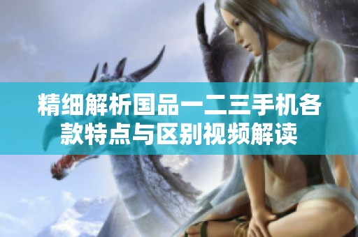 精细解析国品一二三手机各款特点与区别视频解读