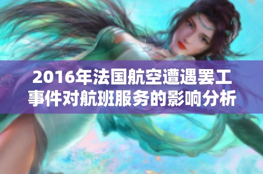 2016年法国航空遭遇罢工事件对航班服务的影响分析