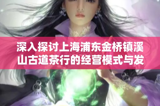 深入探讨上海浦东金桥镇溪山古道茶行的经营模式与发展潜力
