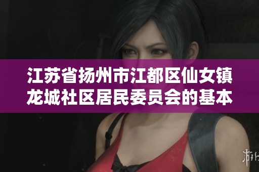 江苏省扬州市江都区仙女镇龙城社区居民委员会的基本信息查询与分析报告