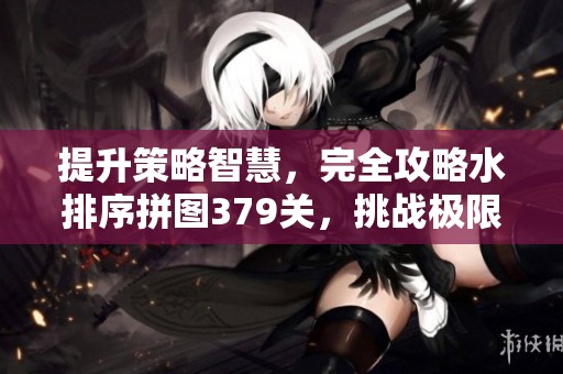 提升策略智慧，完全攻略水排序拼图379关，挑战极限游戏关卡的精彩指南！