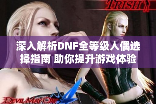 深入解析DNF全等级人偶选择指南 助你提升游戏体验和角色实力