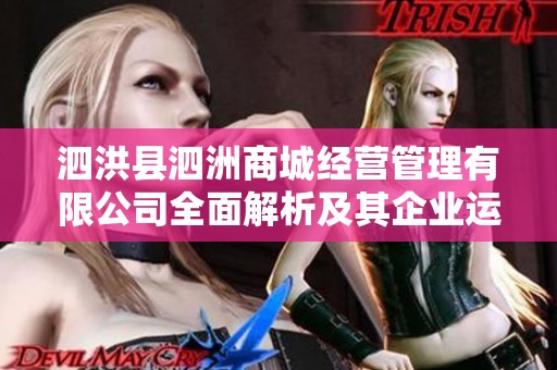 泗洪县泗洲商城经营管理有限公司全面解析及其企业运营现状探索