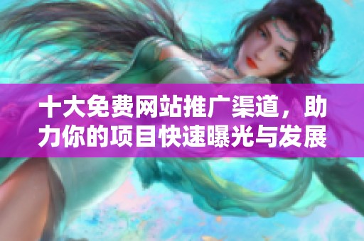 十大免费网站推广渠道，助力你的项目快速曝光与发展