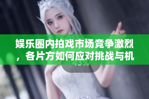 娱乐圈内拍戏市场竞争激烈，各片方如何应对挑战与机遇