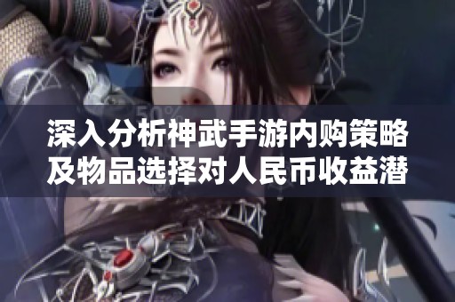 深入分析神武手游内购策略及物品选择对人民币收益潜力的影响与解析
