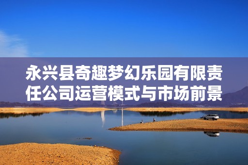 永兴县奇趣梦幻乐园有限责任公司运营模式与市场前景分析报告