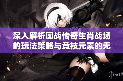 深入解析国战传奇生肖战场的玩法策略与竞技元素的无缝融合