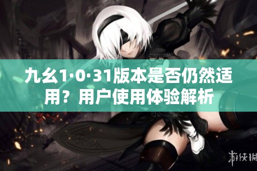 九幺1·0·31版本是否仍然适用？用户使用体验解析