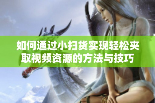 如何通过小扫货实现轻松夹取视频资源的方法与技巧
