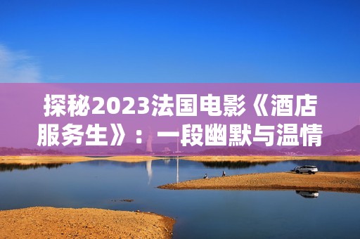 探秘2023法国电影《酒店服务生》：一段幽默与温情交织的旅程