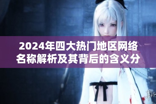 2024年四大热门地区网络名称解析及其背后的含义分析