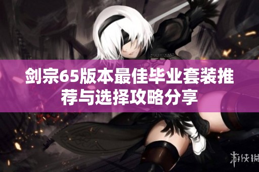 剑宗65版本最佳毕业套装推荐与选择攻略分享