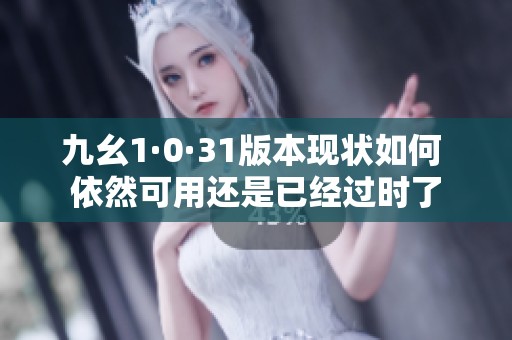 九幺1·0·31版本现状如何 依然可用还是已经过时了
