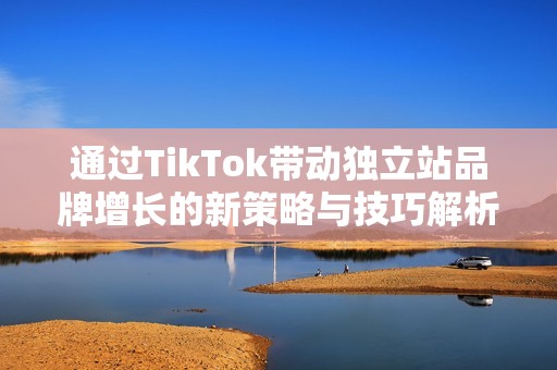 通过TikTok带动独立站品牌增长的新策略与技巧解析
