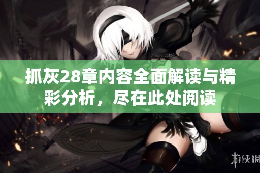 抓灰28章内容全面解读与精彩分析，尽在此处阅读