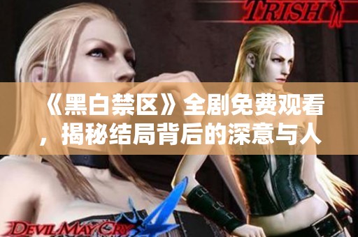《黑白禁区》全剧免费观看，揭秘结局背后的深意与人物命运纠葛